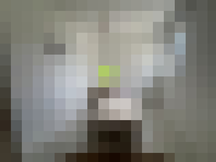  / #8