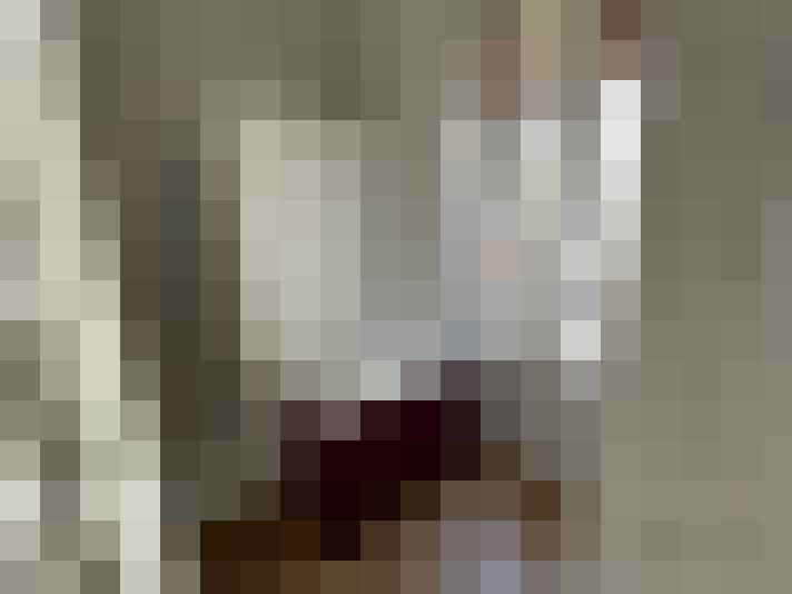  / #12