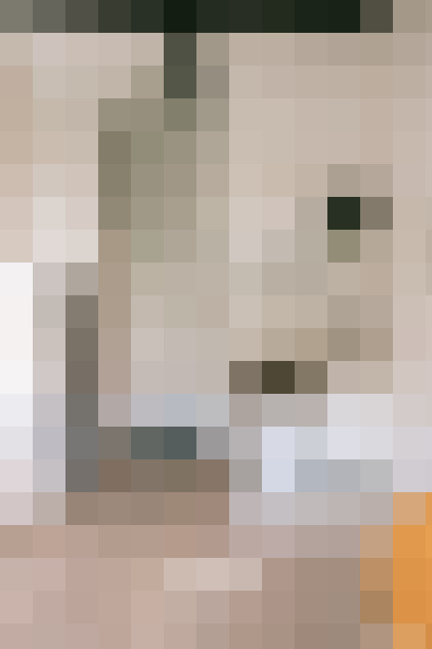  / #15