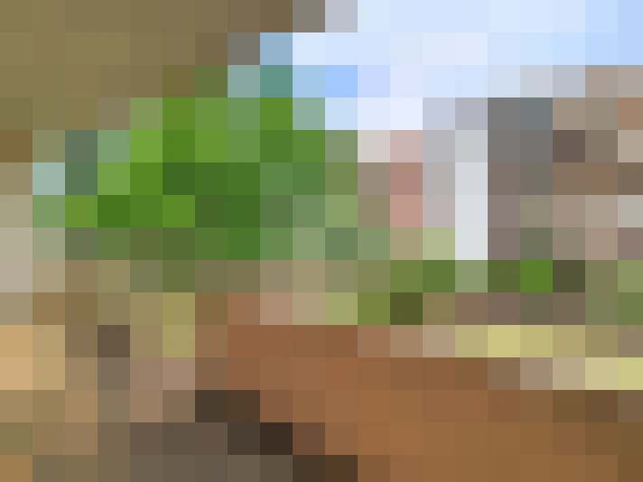  / #8