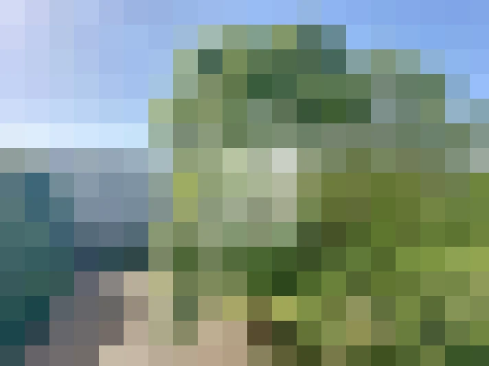  / #15
