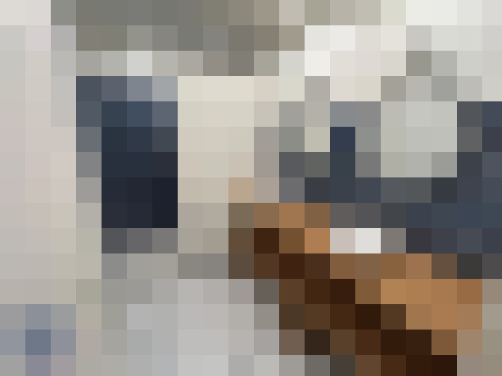  / #15