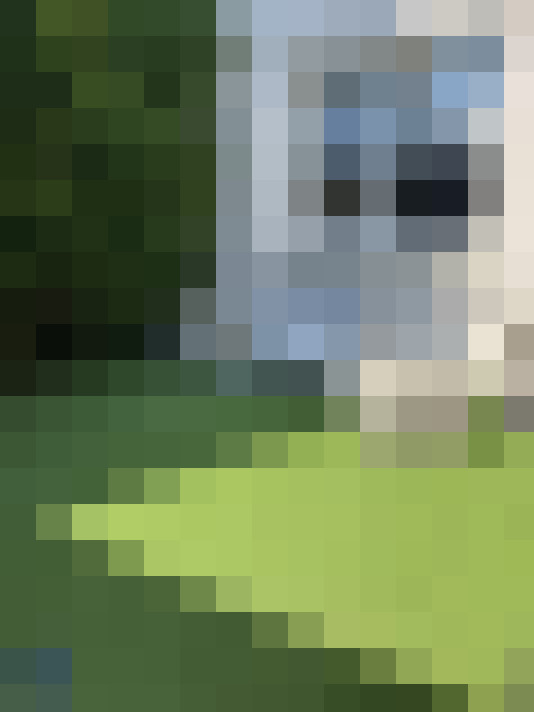  / #14
