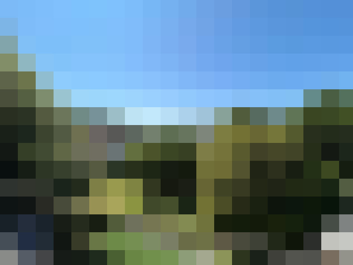  / #16