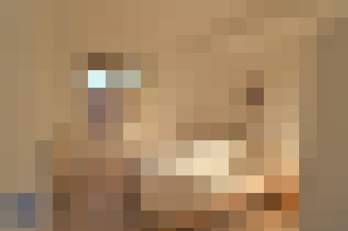  / #7