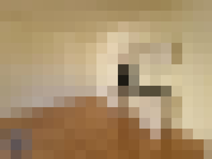  / #2