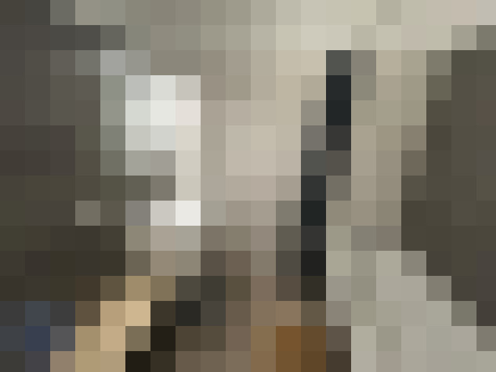  / #19