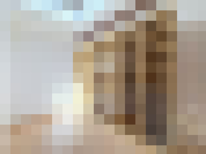  / #19