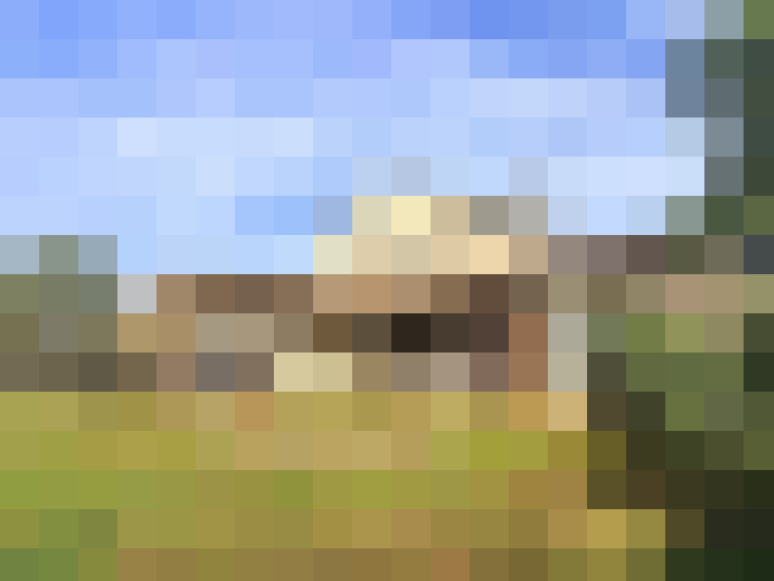  / #12