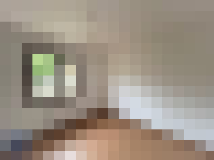  / #9