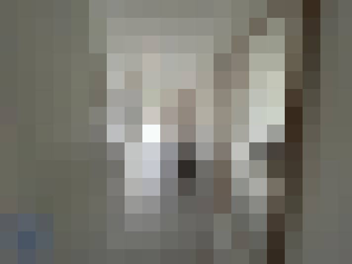  / #14