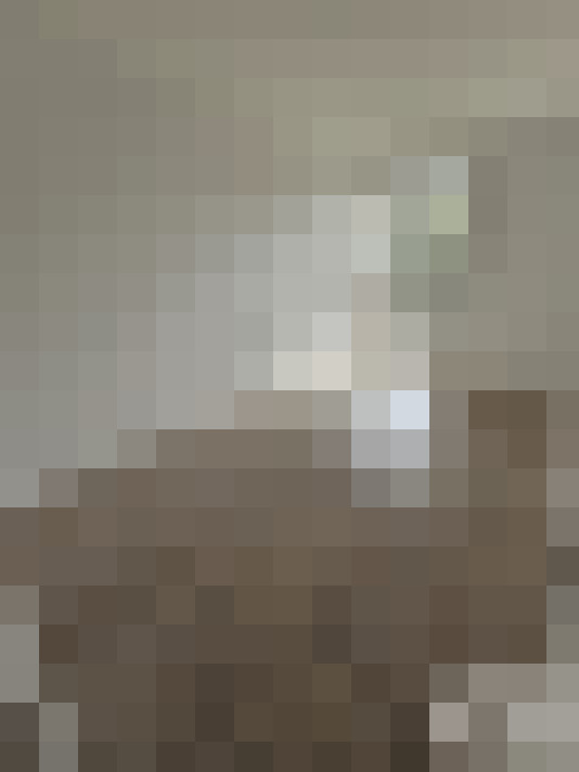  / #18