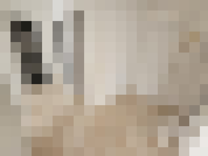  / #13