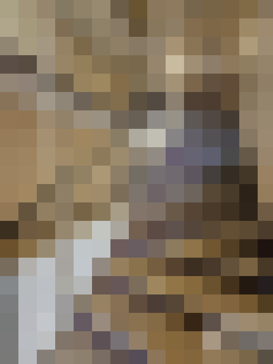  / #24