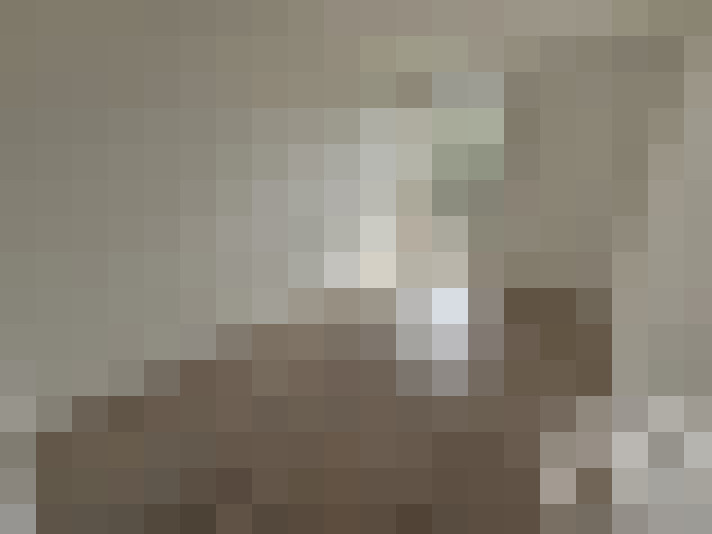 / #19