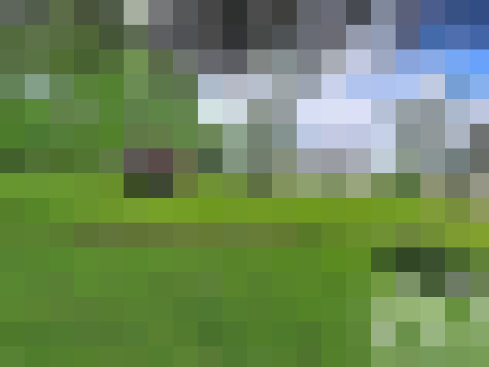  / #18