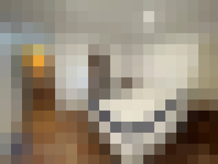 / #7