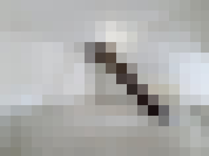  / #9