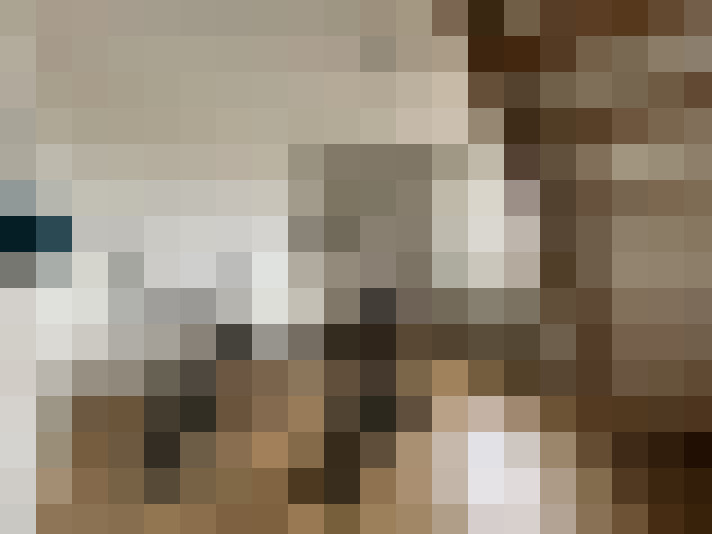  / #15