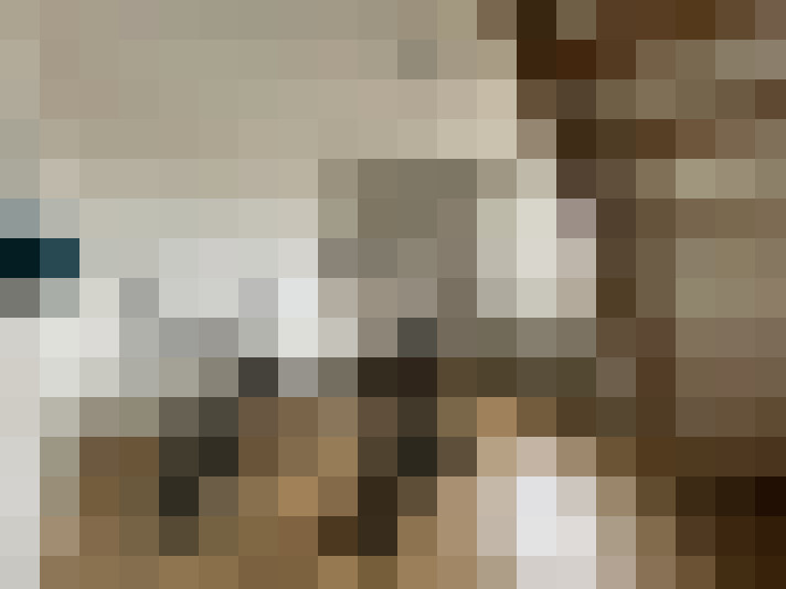  / #16