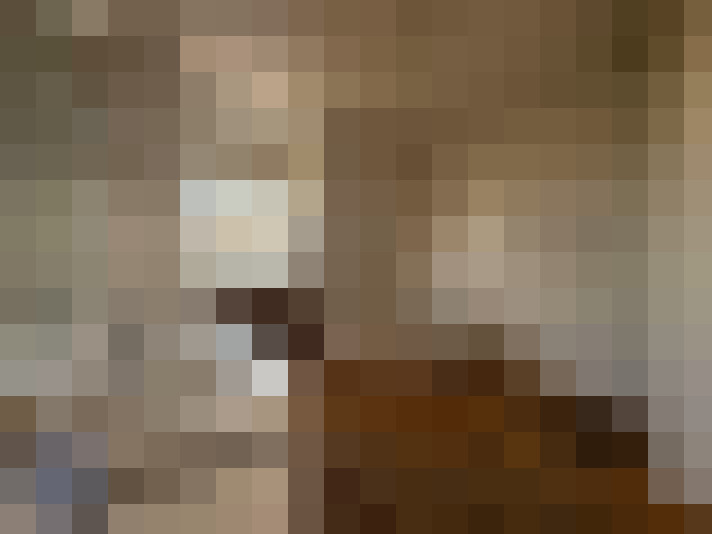 / #8