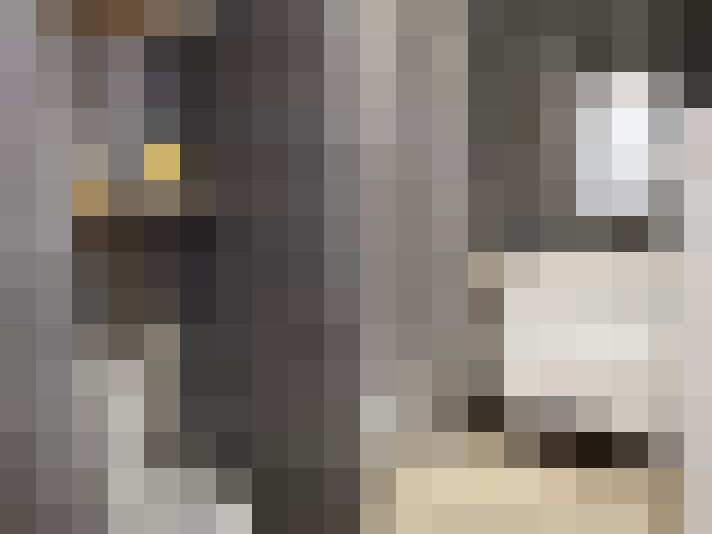  / #16
