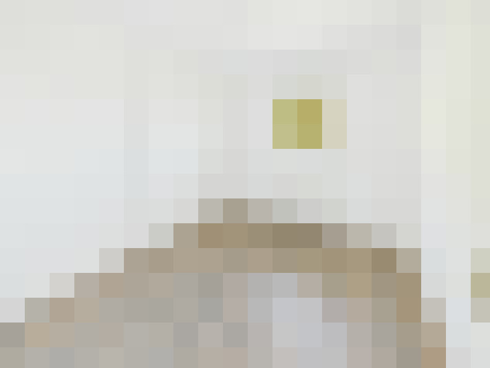  / #17