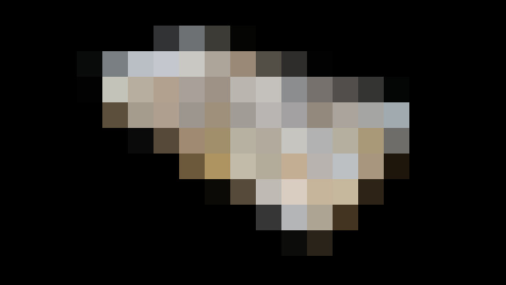  / #24