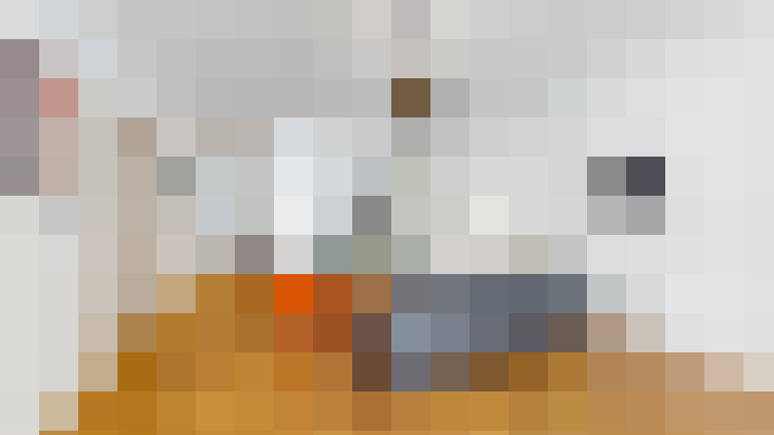  / #19