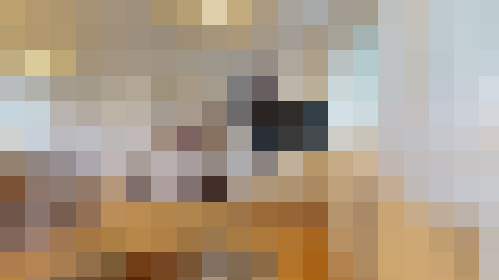  / #14