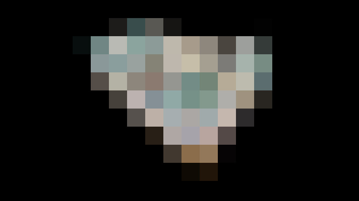  / #21