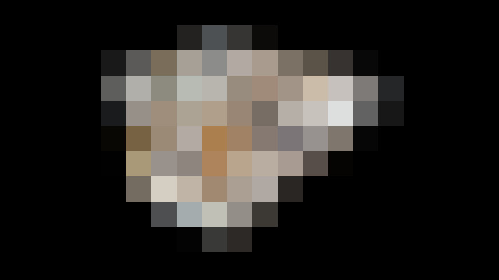  / #15