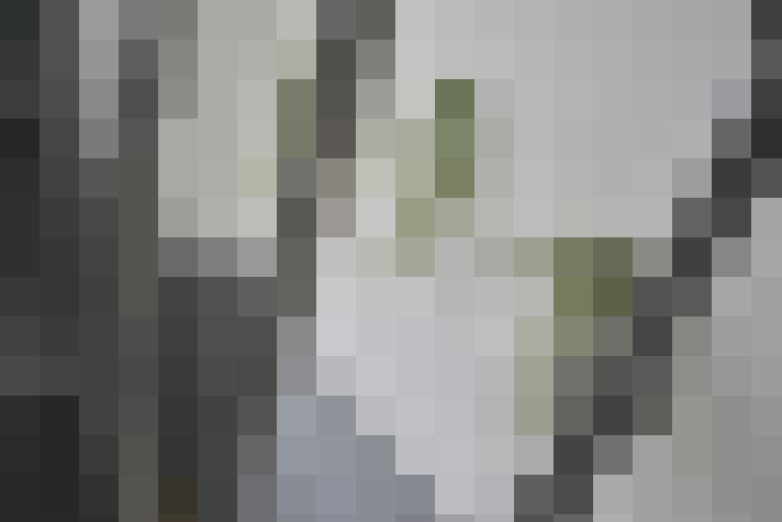  / #26