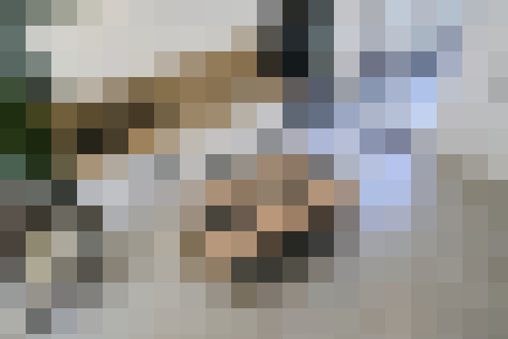  / #15