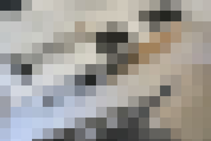  / #19