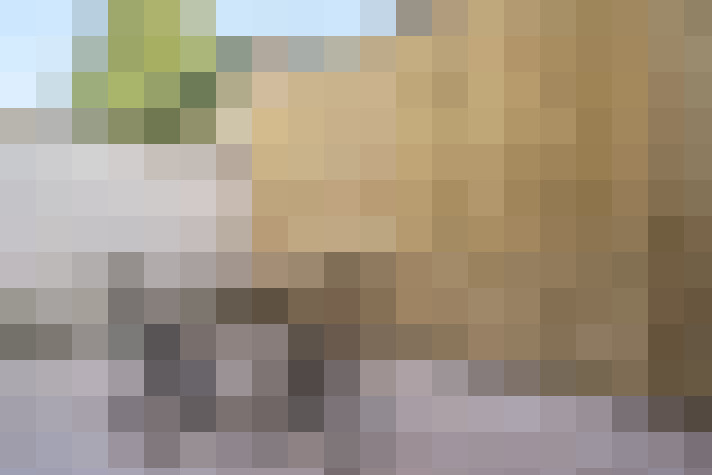  / #20