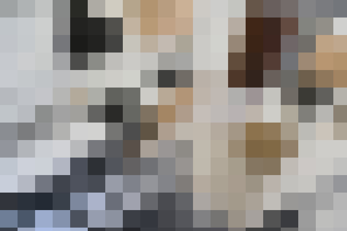  / #17