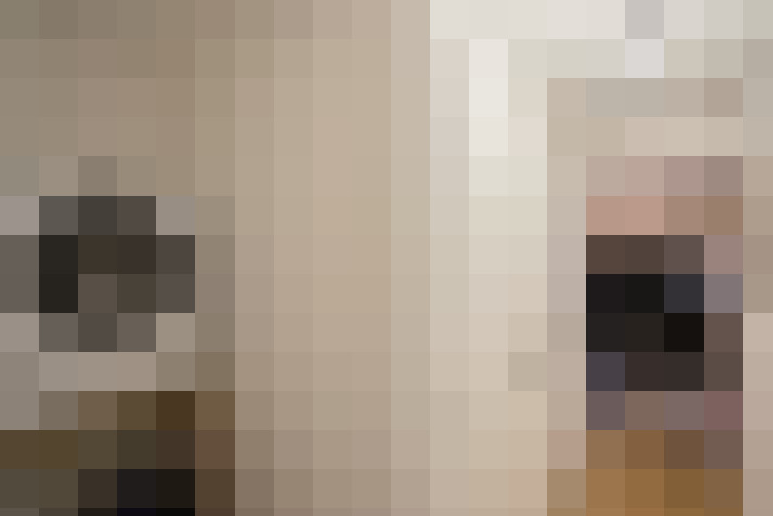  / #17