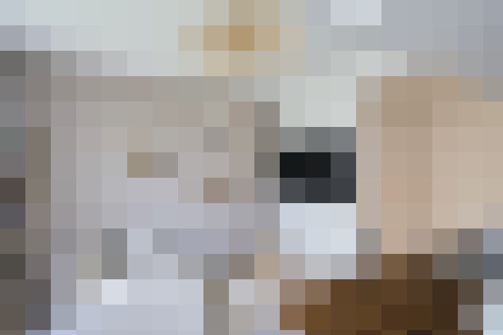  / #24