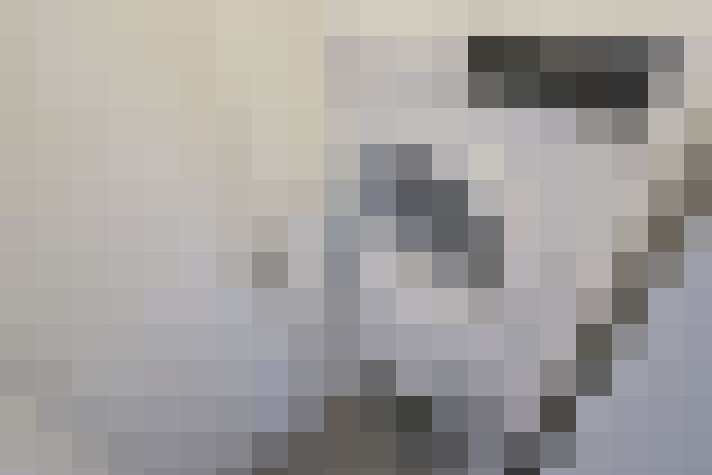 / #21