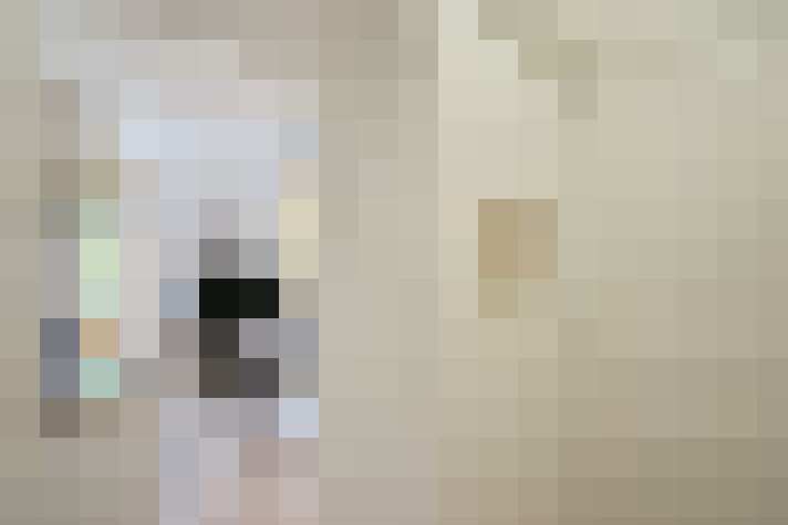  / #17