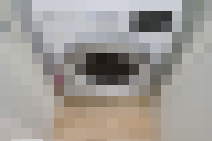  / #19