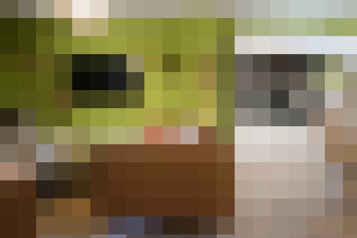  / #15