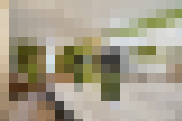  / #14