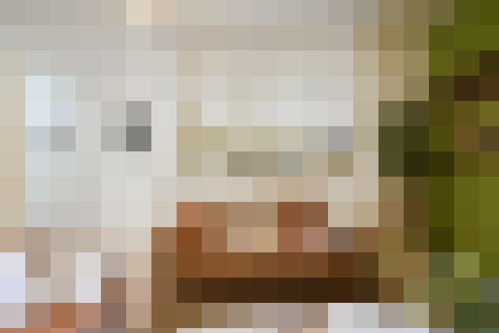  / #21
