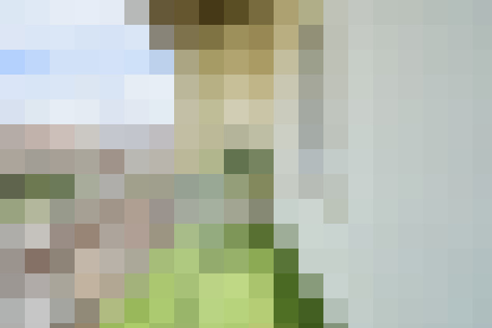  / #19
