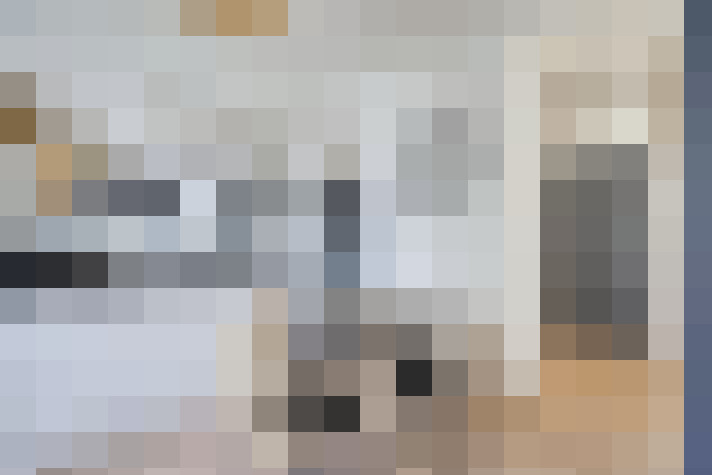  / #12