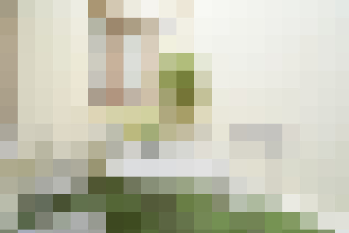  / #20