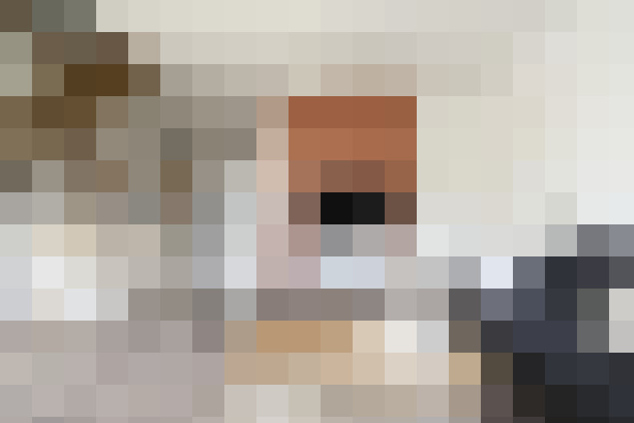  / #15