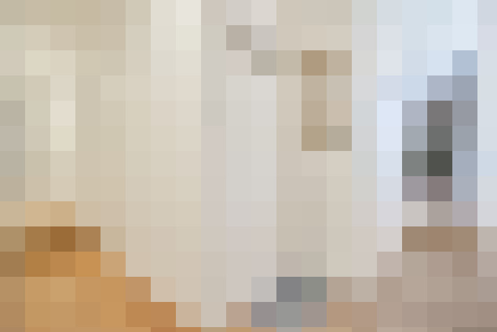  / #22